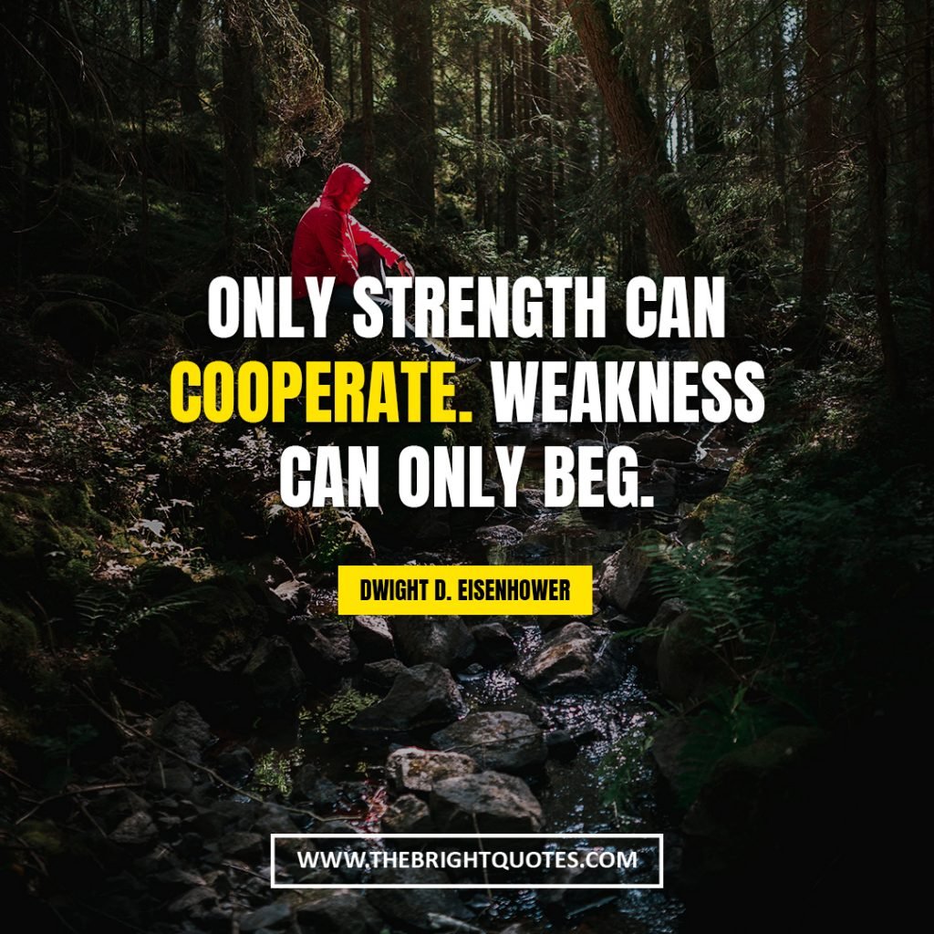 quotes about resillience Only strength can cooperate Weakness can only beg