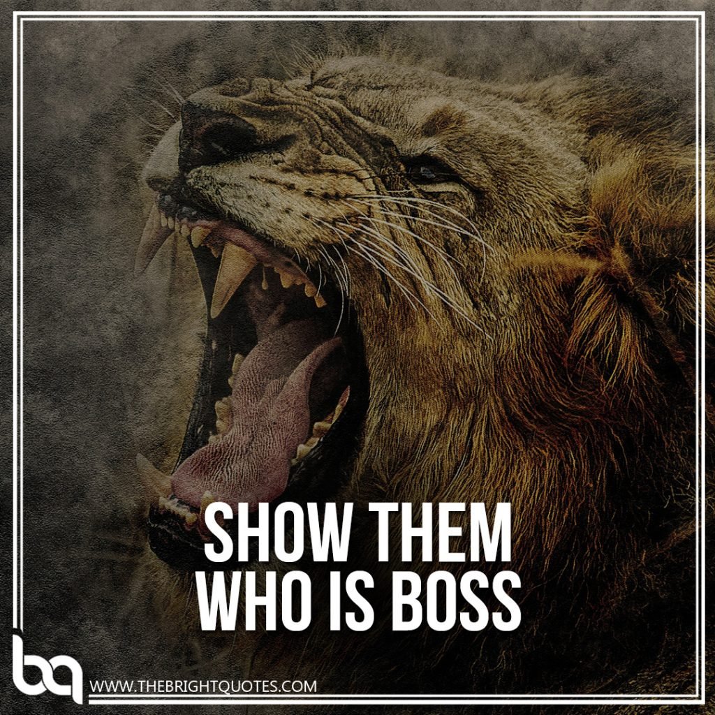 success is show them who is boss