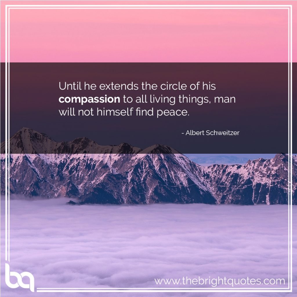 heart warming compassion quotes