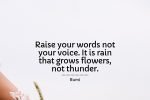 raise your words not your voice