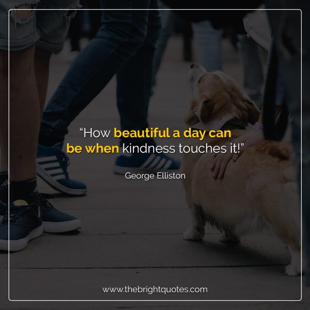 choose kindness quotes