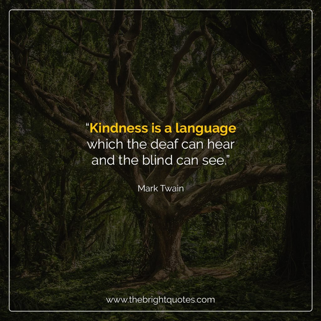 kindness and education quotes
