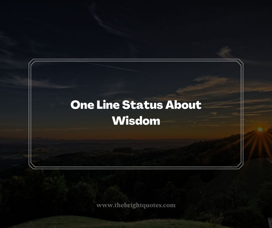 One Line Status About Wisdom
