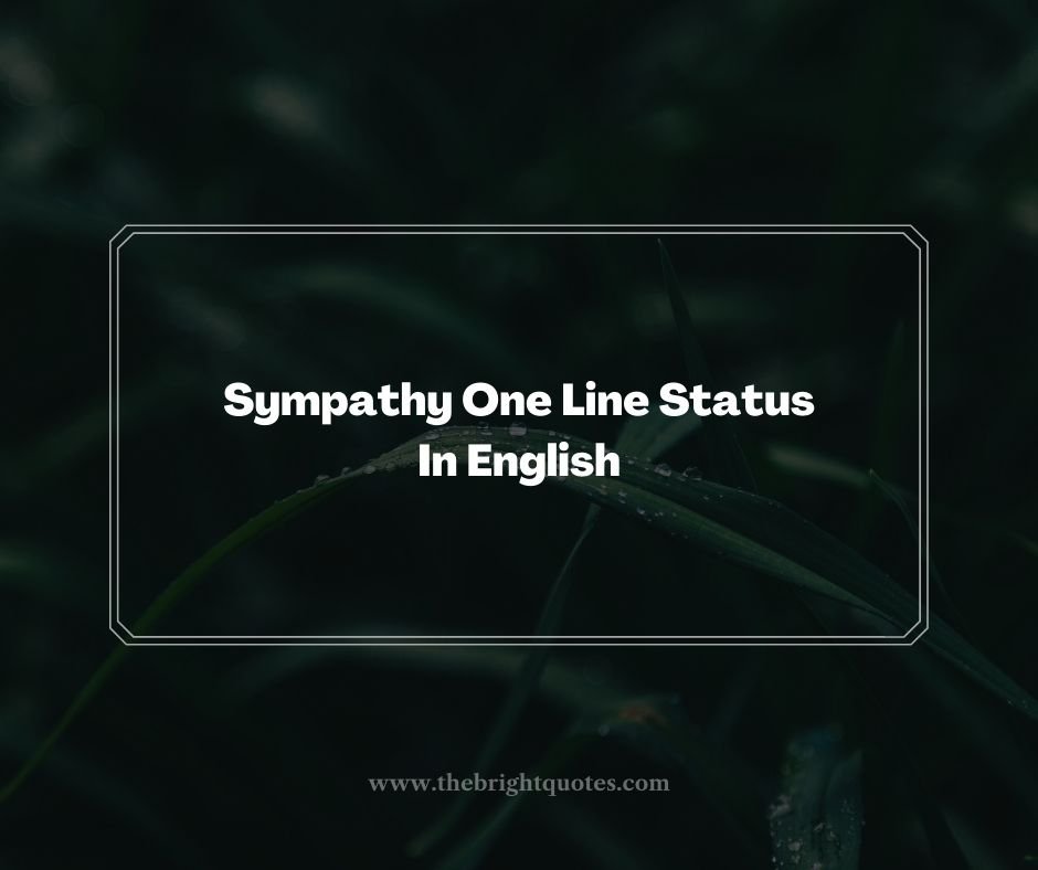 Sympathy One Line Status In English

