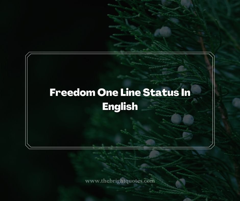 Freedom One Line Status In English
