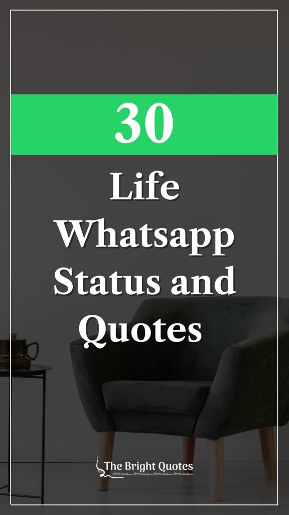 30 best daily whatsapp life status & quotes post image