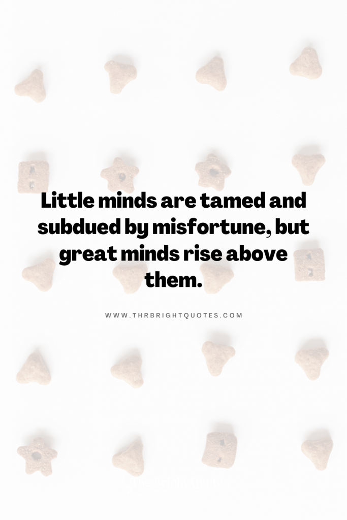 Little minds are tamed and subdued by misfortune, but great minds rise above them.