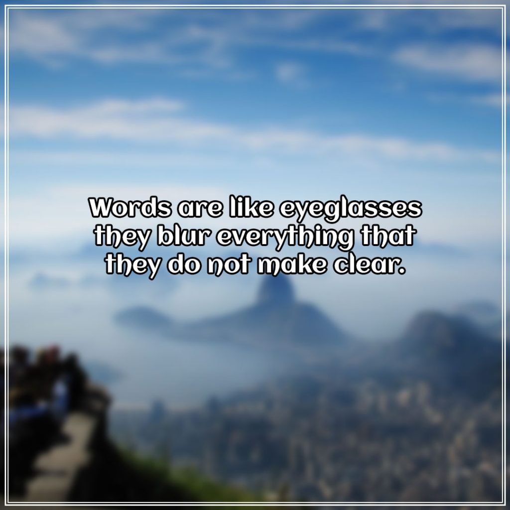 Words are like eyeglasses they blur everything that they do not make clear.