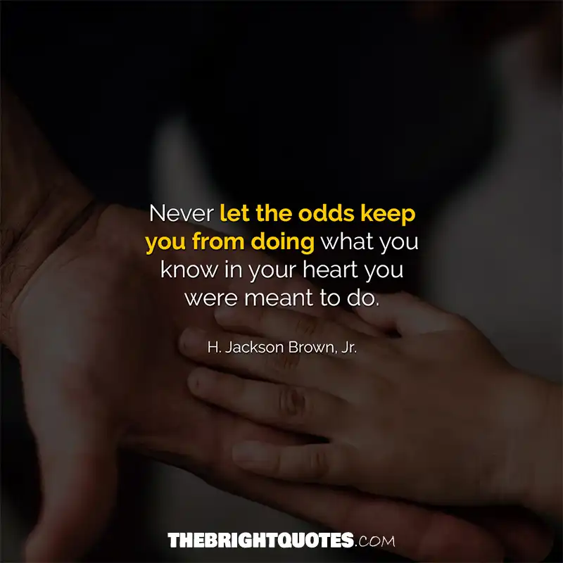 Never let the odds keep you from doing what you know in your heart you were meant to do. H. Jackson Brown, Jr.
