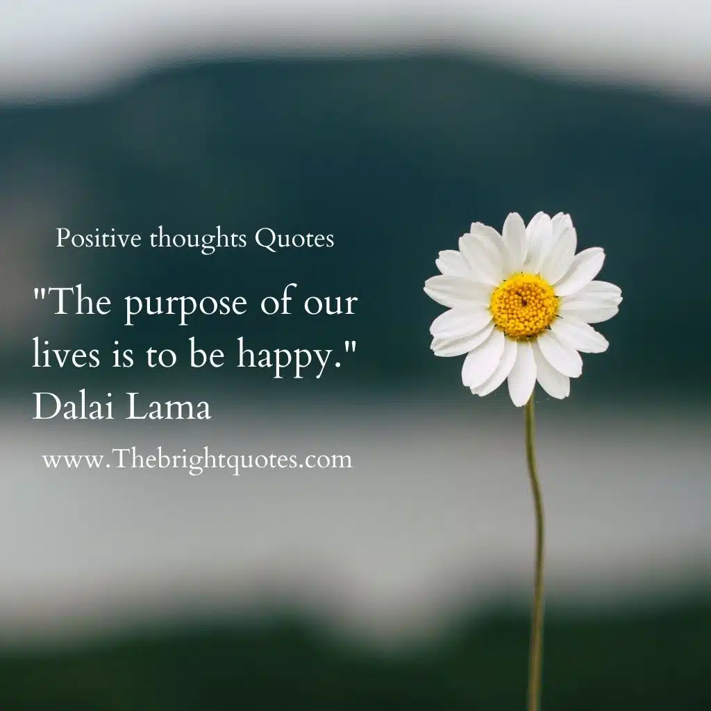 "The purpose of our lives is to be happy." - Dalai Lama